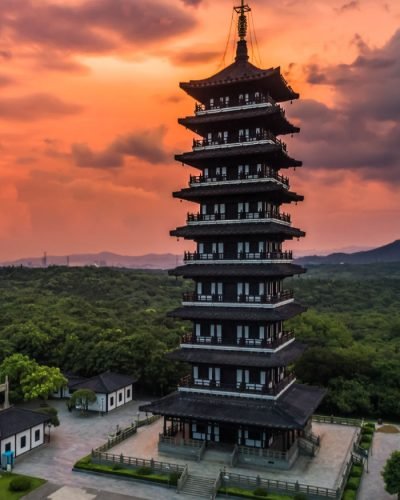 الخدمات-المساندة